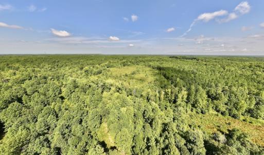 Photo #6 of Off Taylor Farm Lane , Henderson, NC 41.3 acres