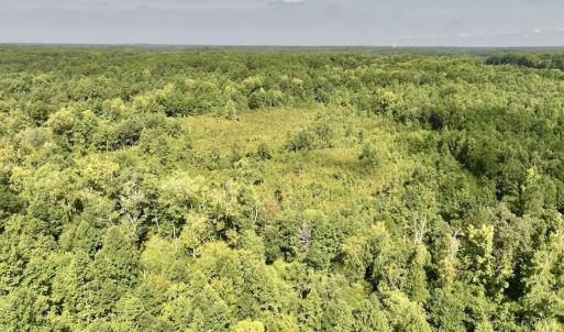 Photo #7 of Off Taylor Farm Lane , Henderson, NC 41.3 acres