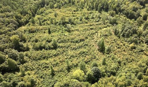 Photo #10 of Off Taylor Farm Lane , Henderson, NC 41.3 acres