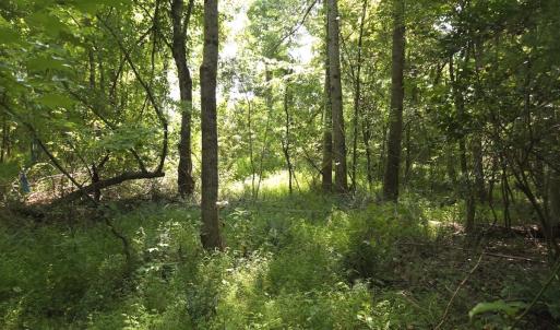 Photo #41 of Off Taylor Farm Lane , Henderson, NC 41.3 acres