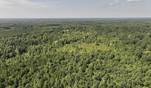Photo #42 of Off Taylor Farm Lane , Henderson, NC 41.3 acres