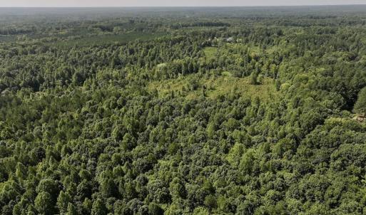 Photo #43 of Off Taylor Farm Lane , Henderson, NC 41.3 acres