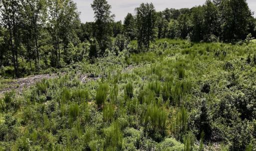 Photo #47 of Off Taylor Farm Lane , Henderson, NC 41.3 acres