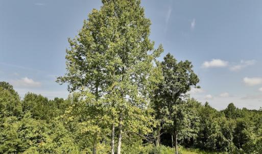 Photo #50 of Off Taylor Farm Lane , Henderson, NC 41.3 acres