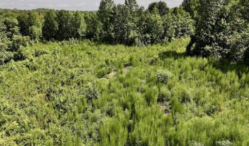 Photo #53 of Off Taylor Farm Lane , Henderson, NC 41.3 acres