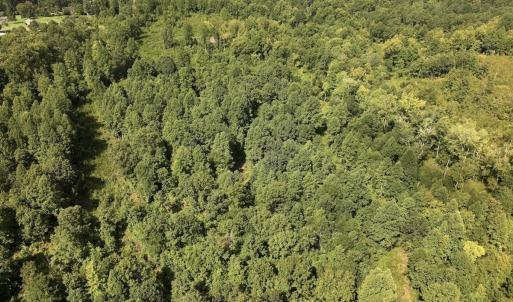 Photo #54 of Off Taylor Farm Lane , Henderson, NC 41.3 acres