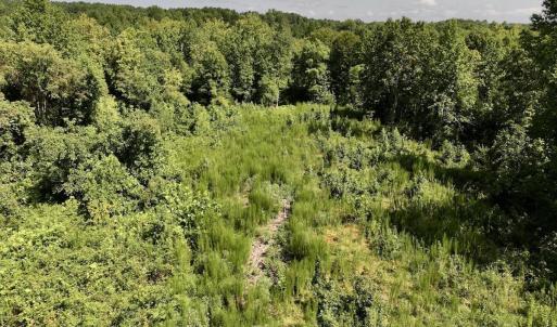 Photo #55 of Off Taylor Farm Lane , Henderson, NC 41.3 acres