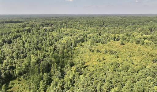 Photo #56 of Off Taylor Farm Lane , Henderson, NC 41.3 acres