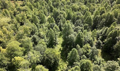 Photo #57 of Off Taylor Farm Lane , Henderson, NC 41.3 acres