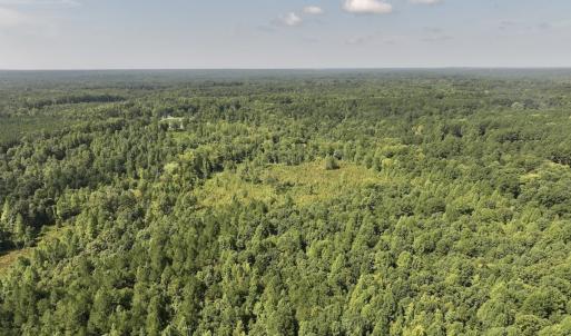 Photo #59 of Off Taylor Farm Lane , Henderson, NC 41.3 acres