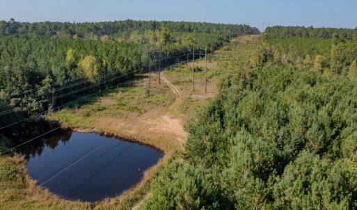Photo #12 of SOLD property in TBD Jimmy Carriker Road, Ellerbe, NC 122.8 acres