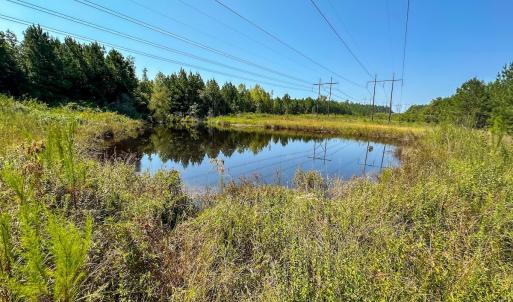 Photo #13 of SOLD property in TBD Jimmy Carriker Road, Ellerbe, NC 122.8 acres