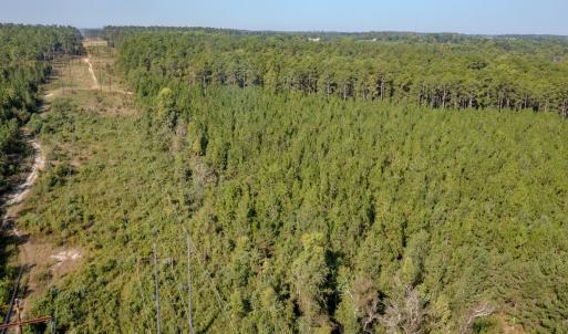 Photo #15 of SOLD property in TBD Jimmy Carriker Road, Ellerbe, NC 122.8 acres