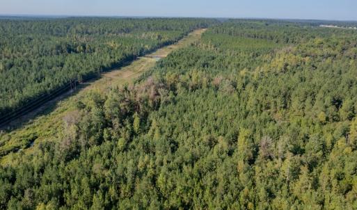 Photo #16 of SOLD property in TBD Jimmy Carriker Road, Ellerbe, NC 122.8 acres