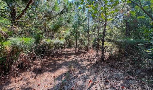Photo #17 of SOLD property in TBD Jimmy Carriker Road, Ellerbe, NC 122.8 acres