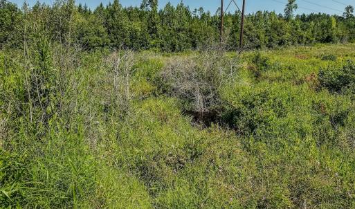 Photo #18 of SOLD property in TBD Jimmy Carriker Road, Ellerbe, NC 122.8 acres