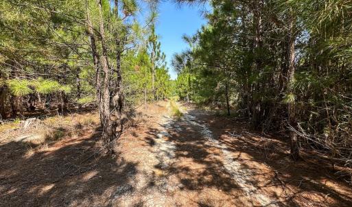 Photo #19 of SOLD property in TBD Jimmy Carriker Road, Ellerbe, NC 122.8 acres