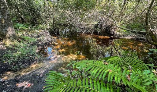 Photo #20 of SOLD property in TBD Jimmy Carriker Road, Ellerbe, NC 122.8 acres