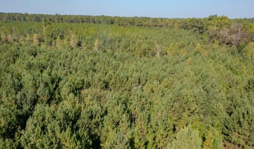 Photo #22 of SOLD property in TBD Jimmy Carriker Road, Ellerbe, NC 122.8 acres