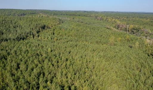 Photo #23 of SOLD property in TBD Jimmy Carriker Road, Ellerbe, NC 122.8 acres