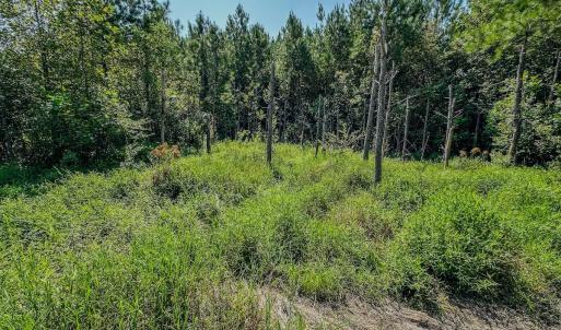 Photo #25 of SOLD property in TBD Jimmy Carriker Road, Ellerbe, NC 122.8 acres