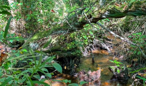Photo #26 of SOLD property in TBD Jimmy Carriker Road, Ellerbe, NC 122.8 acres
