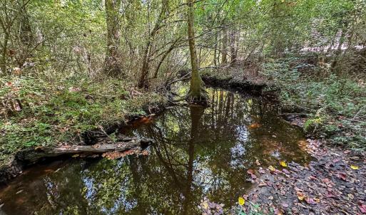 Photo #27 of SOLD property in TBD Jimmy Carriker Road, Ellerbe, NC 122.8 acres