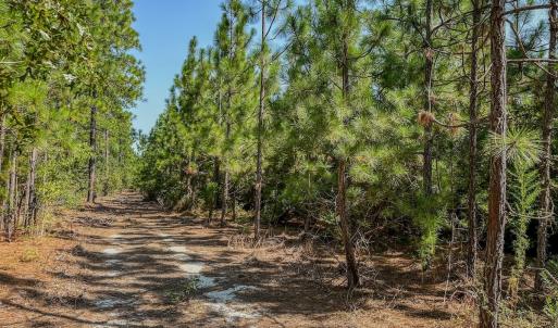 Photo #28 of SOLD property in TBD Jimmy Carriker Road, Ellerbe, NC 122.8 acres