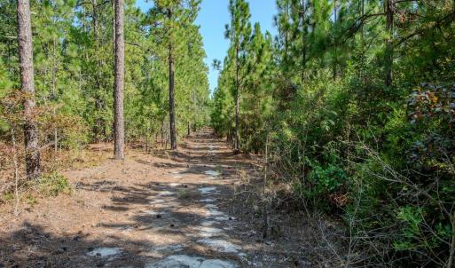 Photo #29 of SOLD property in TBD Jimmy Carriker Road, Ellerbe, NC 122.8 acres