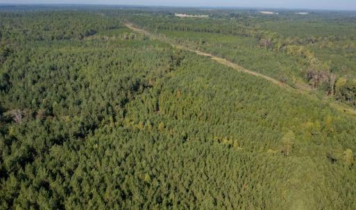 Photo #4 of SOLD property in TBD Jimmy Carriker Road, Ellerbe, NC 122.8 acres