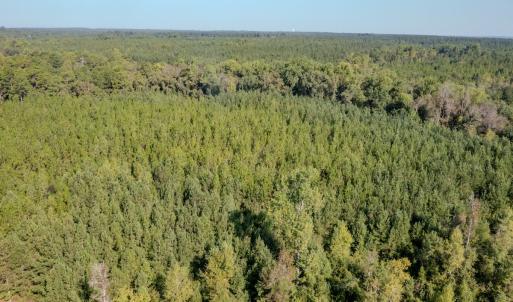 Photo #31 of SOLD property in TBD Jimmy Carriker Road, Ellerbe, NC 122.8 acres