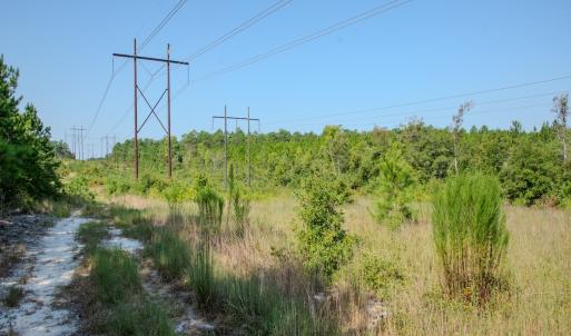 Photo #5 of SOLD property in TBD Jimmy Carriker Road, Ellerbe, NC 122.8 acres
