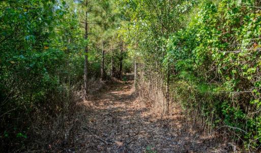 Photo #6 of SOLD property in TBD Jimmy Carriker Road, Ellerbe, NC 122.8 acres