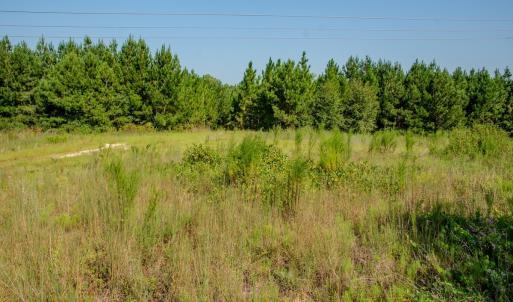 Photo #7 of SOLD property in TBD Jimmy Carriker Road, Ellerbe, NC 122.8 acres