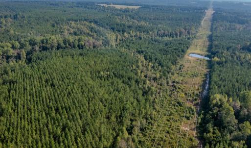 Photo #8 of SOLD property in TBD Jimmy Carriker Road, Ellerbe, NC 122.8 acres