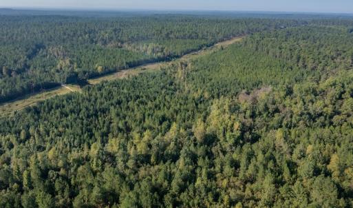 Photo #9 of SOLD property in TBD Jimmy Carriker Road, Ellerbe, NC 122.8 acres