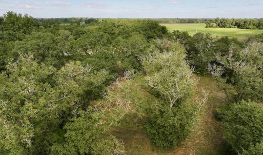 Photo #17 of SOLD property in Off Boss Mclawhorn Rd, Grifton, NC 17.5 acres
