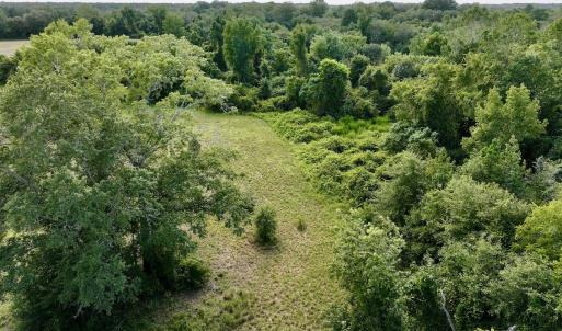 Photo #19 of SOLD property in Off Boss Mclawhorn Rd, Grifton, NC 17.5 acres