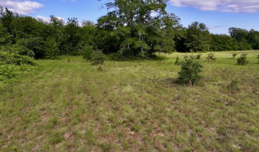Photo #20 of SOLD property in Off Boss Mclawhorn Rd, Grifton, NC 17.5 acres