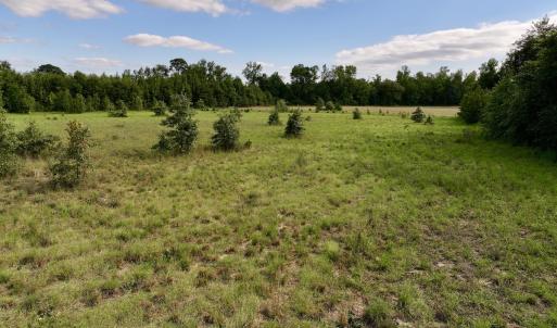 Photo #21 of SOLD property in Off Boss Mclawhorn Rd, Grifton, NC 17.5 acres