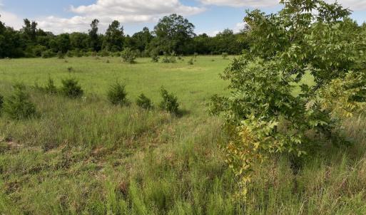 Photo #22 of SOLD property in Off Boss Mclawhorn Rd, Grifton, NC 17.5 acres