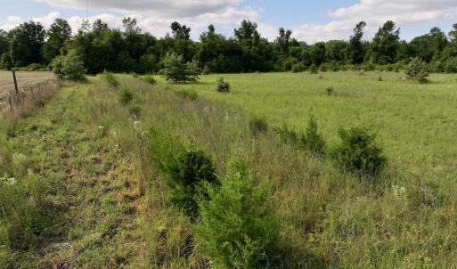 Photo #23 of SOLD property in Off Boss Mclawhorn Rd, Grifton, NC 17.5 acres