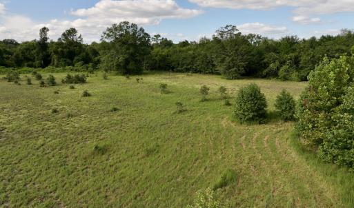 Photo #24 of SOLD property in Off Boss Mclawhorn Rd, Grifton, NC 17.5 acres