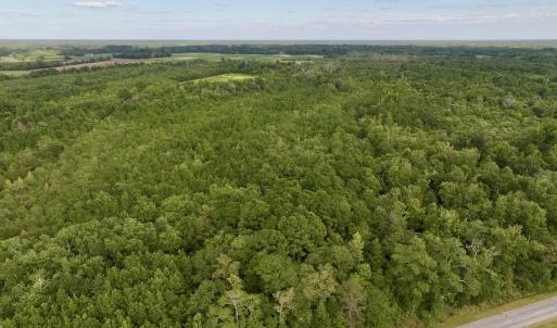 Photo #2 of SOLD property in Off Boss Mclawhorn Rd, Grifton, NC 25.2 acres