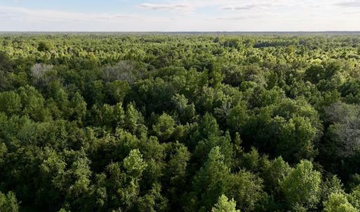 Photo #11 of SOLD property in Off Boss Mclawhorn Rd, Grifton, NC 25.2 acres