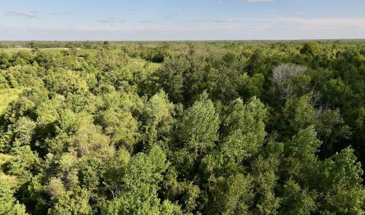 Photo #12 of SOLD property in Off Boss Mclawhorn Rd, Grifton, NC 25.2 acres
