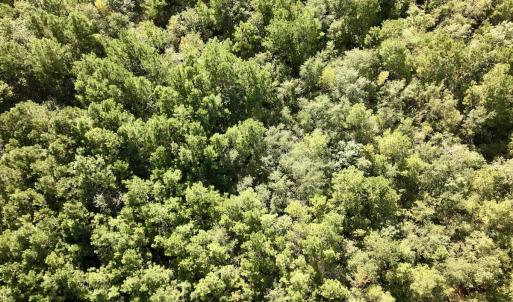 Photo #13 of SOLD property in Off Boss Mclawhorn Rd, Grifton, NC 25.2 acres