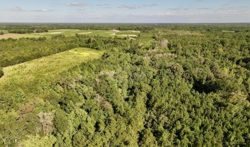Photo #14 of SOLD property in Off Boss Mclawhorn Rd, Grifton, NC 25.2 acres