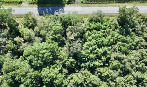 Photo #16 of SOLD property in Off Boss Mclawhorn Rd, Grifton, NC 25.2 acres