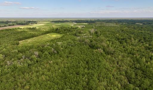 Photo #3 of SOLD property in Off Boss Mclawhorn Rd, Grifton, NC 25.2 acres